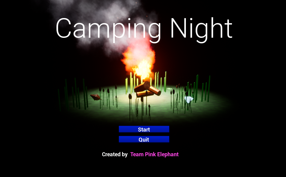 Camping Night